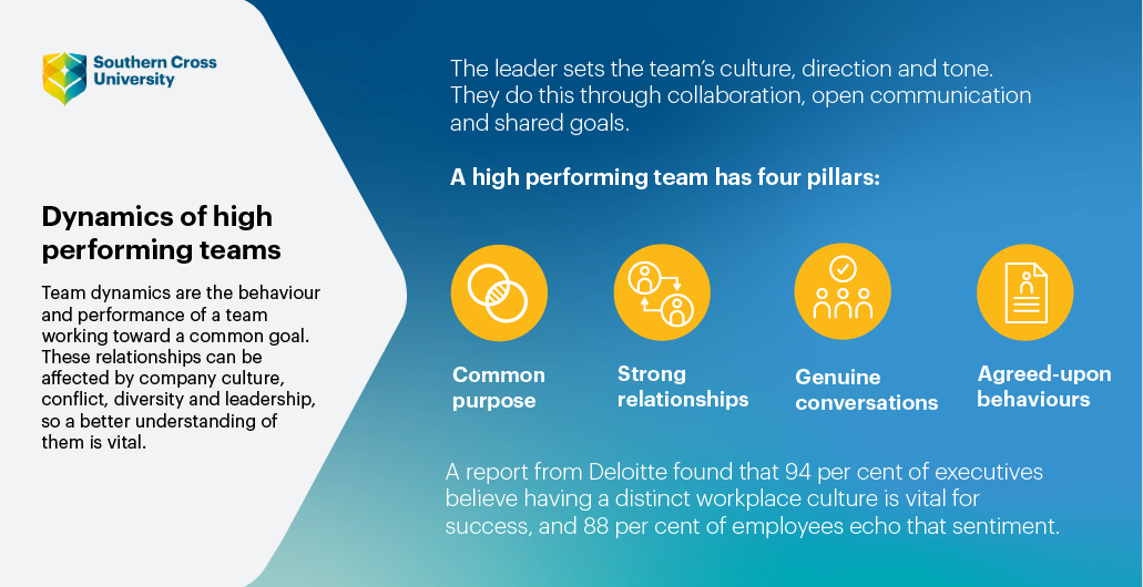 Dynamics of high performing teams.