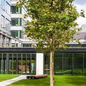 A serene courtyard featuring a bench and trees, set against the backdrop of a charming building.