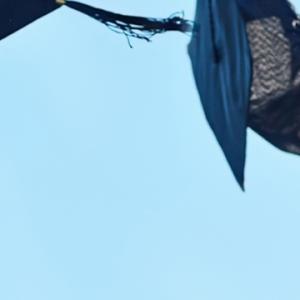 Graduates joyfully tossing their caps into the air, celebrating their academic achievements in a moment of triumph.