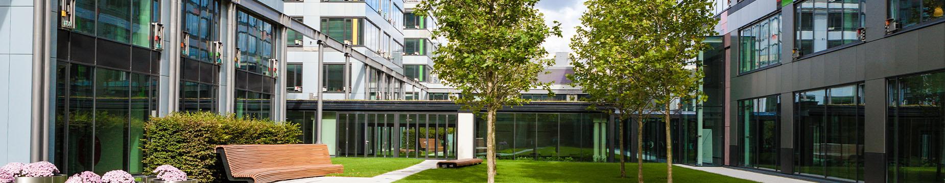 A serene courtyard featuring a bench and trees, set against the backdrop of a charming building.