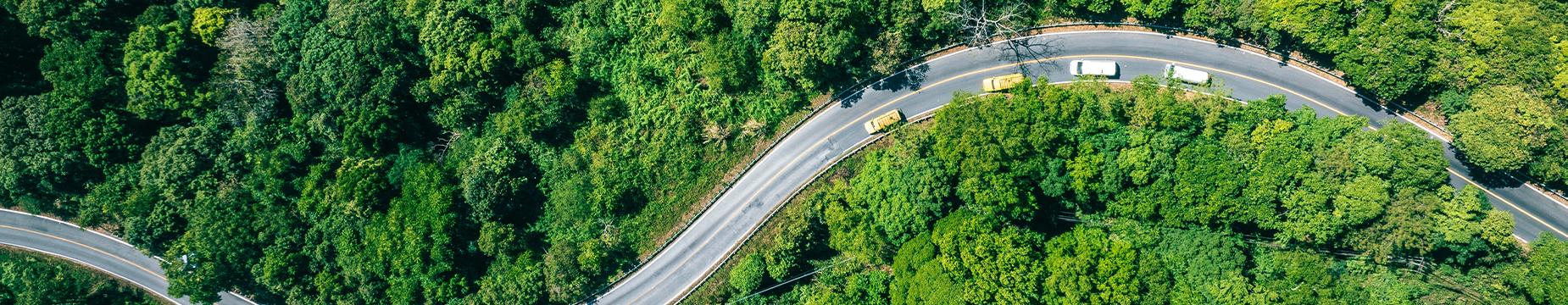Aerial view showcasing a winding road surrounded by lush green forest, highlighting the beauty of nature and tranquility.