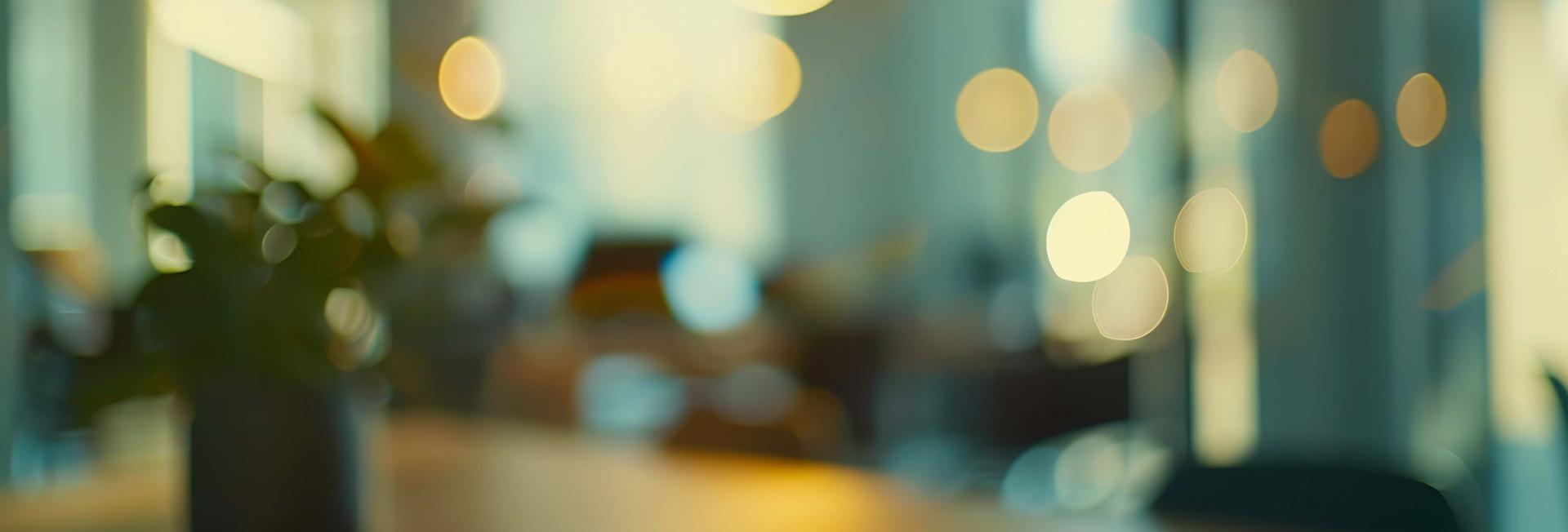 A blurry image depicting a vase containing a plant, emphasizing soft shapes and muted colors.