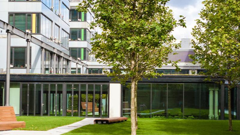 A serene courtyard featuring a bench and trees, set against the backdrop of a charming building.