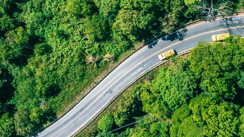 Aerial view showcasing a winding road surrounded by lush green forest, highlighting the beauty of nature and tranquility.