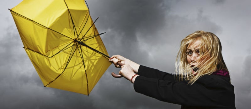 IT survival skills you need to weather the storm of digital change